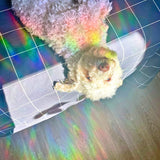 Durable mixed color front lace wig perfect for parties