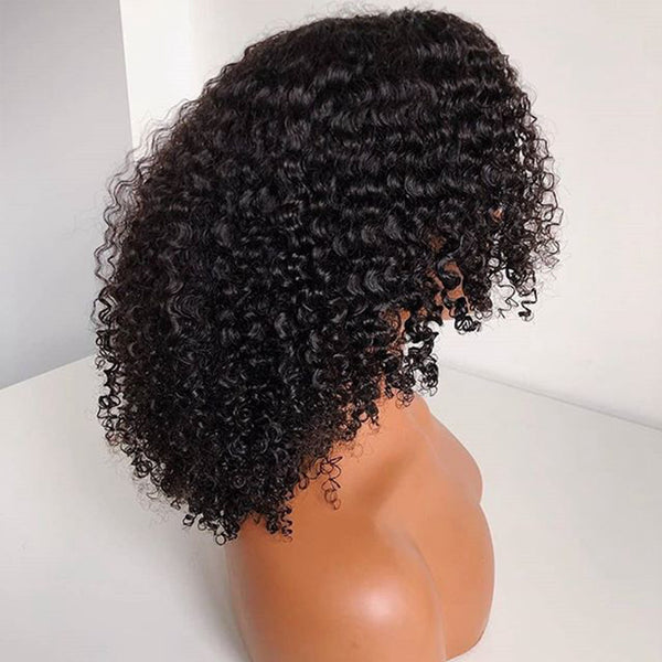 High-quality womens curly wig with natural soft curls| Small Curl Wig | High-Temp Fiber Wig | Front Lace Hairpiece | Women’s Curly Wig