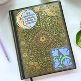 Overstimulated - Please Be Gentle Sticker