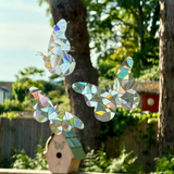 Elegant butterfly suncatcher sticker set for decoration