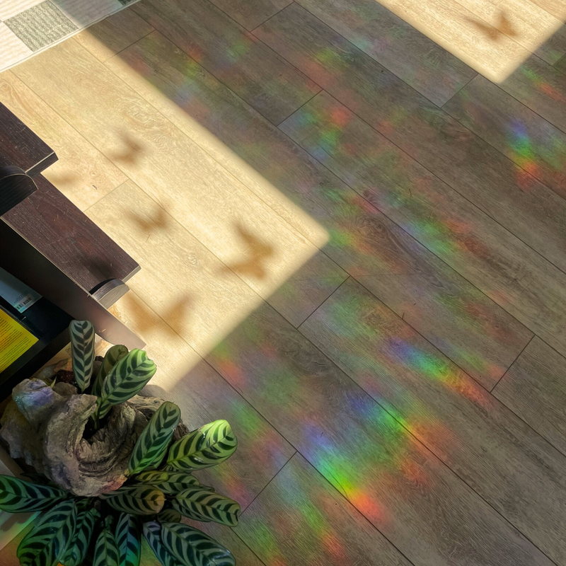 Celestial elegant floral moon sticker with flower detailing