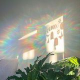 Monstera Leaf Suncatcher Sticker