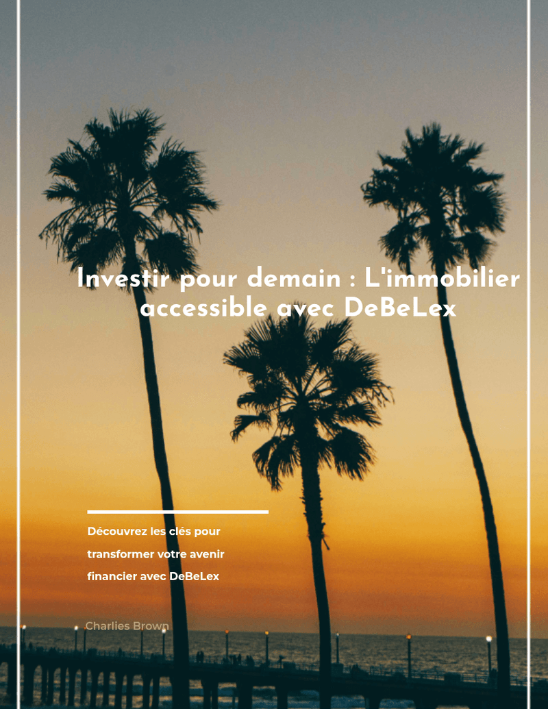 Investir dans limmobilier avec DeBeLex